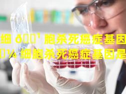干细 🌹 胞杀死癌症基因（干 🐼 细胞杀死癌症基因是什么）